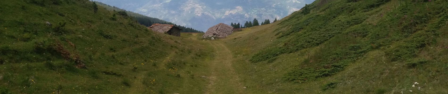 Randonnée Marche Gressan - alpi.  lac chamolé  aller par piste retour par sentier - Photo