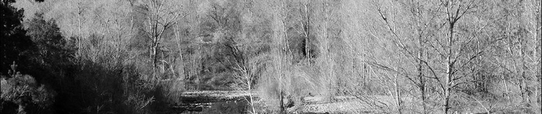 Trail Walking Fréjus - Pk sur D37 - Mines de Boson - Aqueduc - Col d'Auriasque - Photo