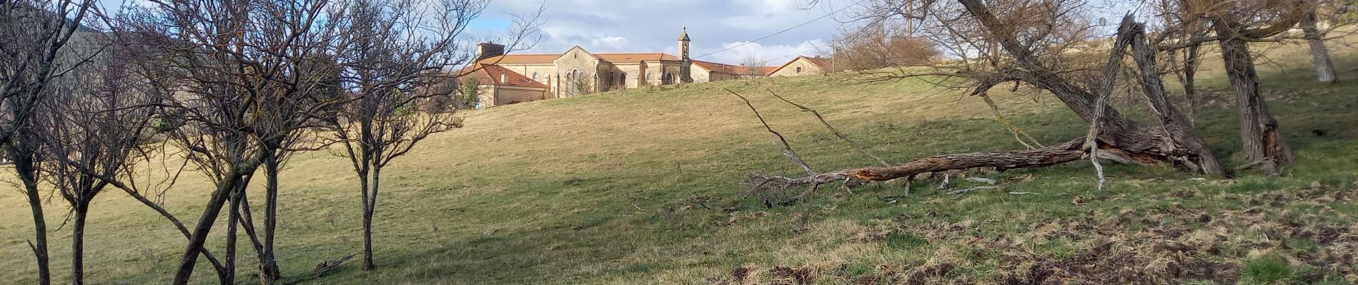 Excursión Senderismo Le Poët-Laval - Le Poet Laval - Photo