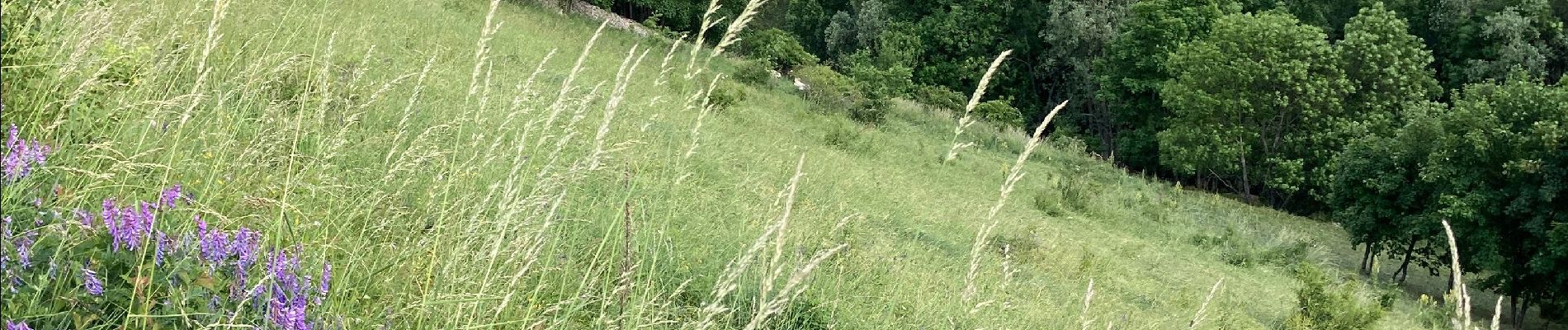 Tocht Stappen Vallouise-Pelvoux - Puy aillaud  - Photo