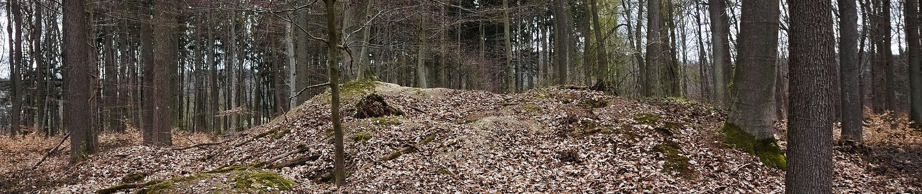 Percorso A piedi Kelkheim - Rund um den Rettershof: Weg 2 - Photo