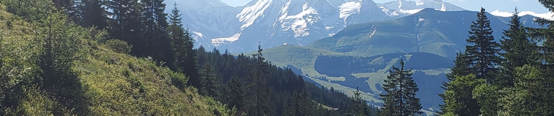 Tocht Stappen Megève - croisse baulet 1090m 17kms  - Photo