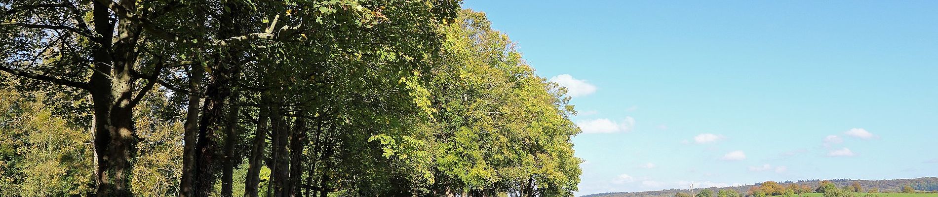 Tocht Te voet Dancourt - Circuit de la Rieuse - Photo