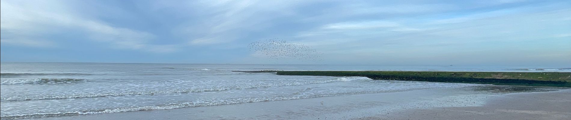 Excursión  De Panne - La Panne - Oostende - Photo