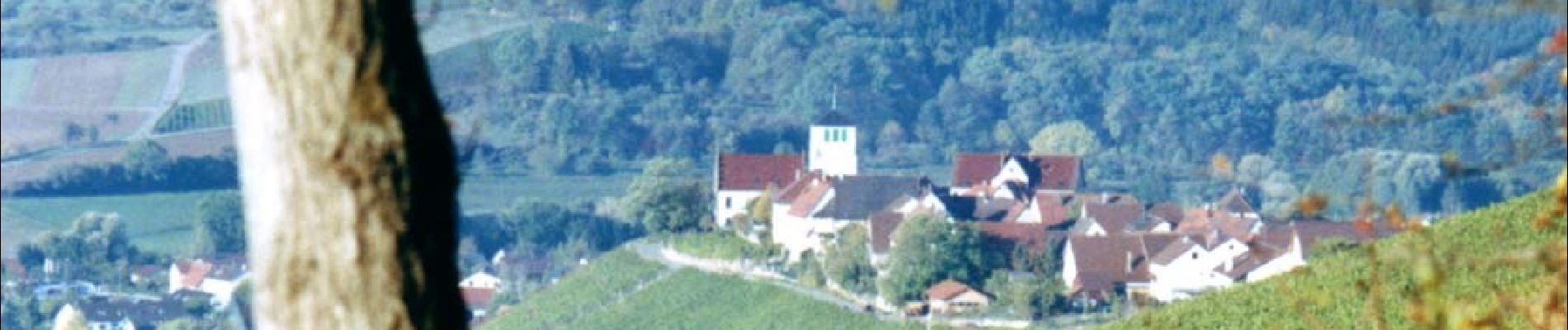 Tour Zu Fuß Sachsenheim - Weitblickweg Hohenhaslach - Photo