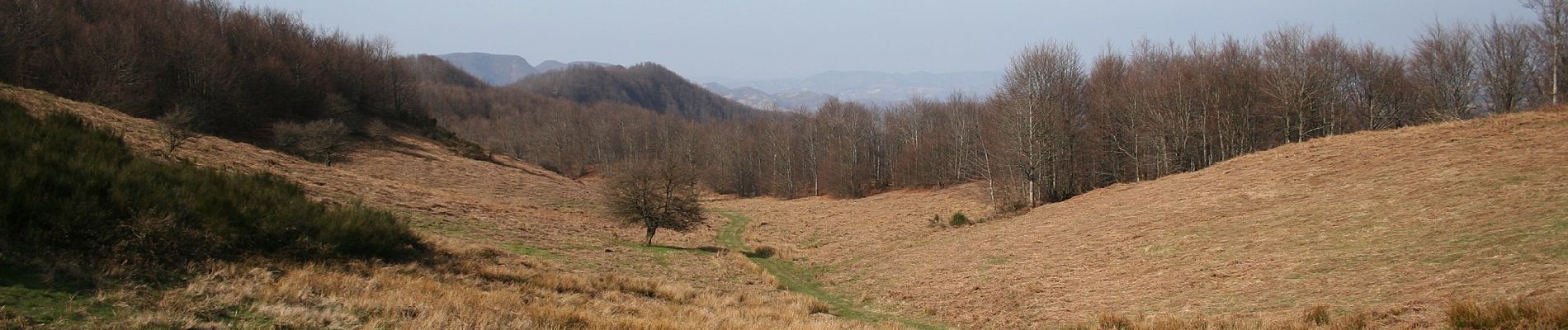 Percorso A piedi Marradi - L’Acquacheta e il Monte Lavane - Photo