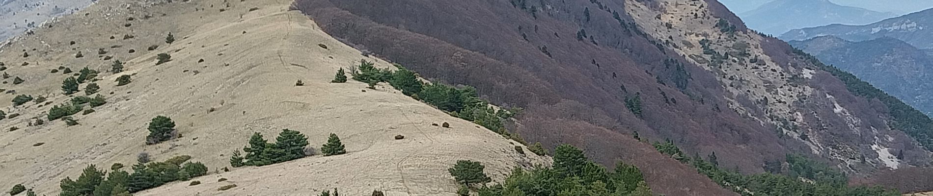 Trail Walking Saint-Nazaire-le-Désert - Serre Delègue - Photo