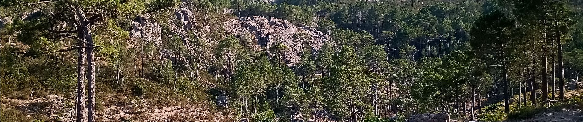 Trail Walking San-Gavino-di-Carbini - cascade - Photo