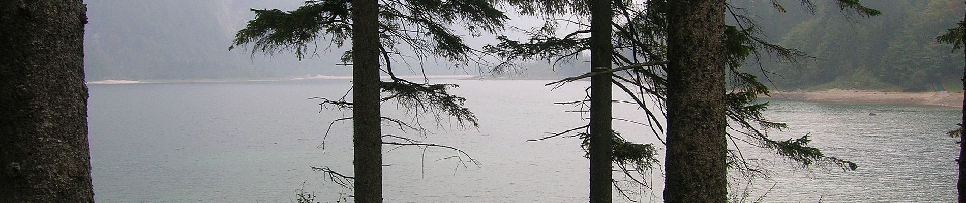 Tour Zu Fuß Tarvis - Giro del Lago - Photo