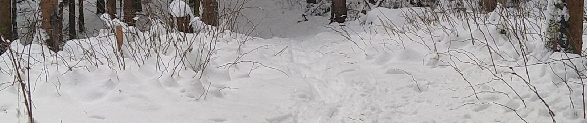 Tour Schneeschuhwandern Charix - Col du sentier- Lac Genin - Photo