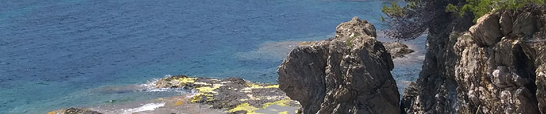 Tocht Stappen Hyères - giens ouest - Photo