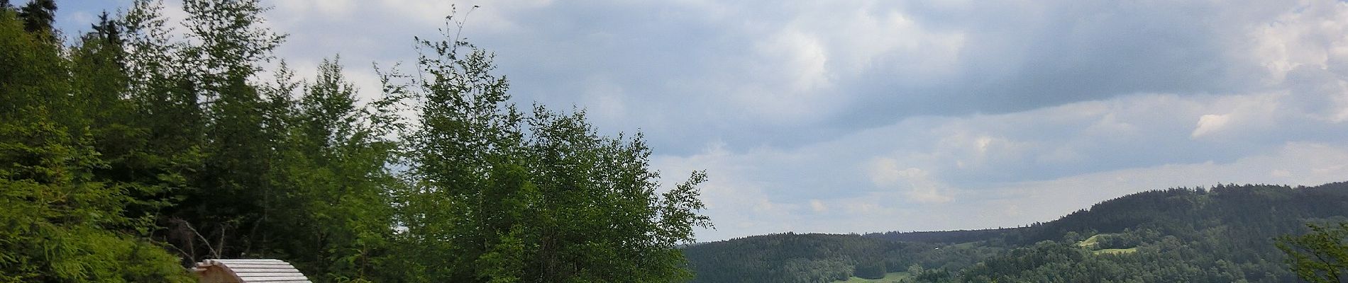 Tour Zu Fuß Warmensteinach - Warmensteinach Rundwanderweg Nr. 1 - Photo