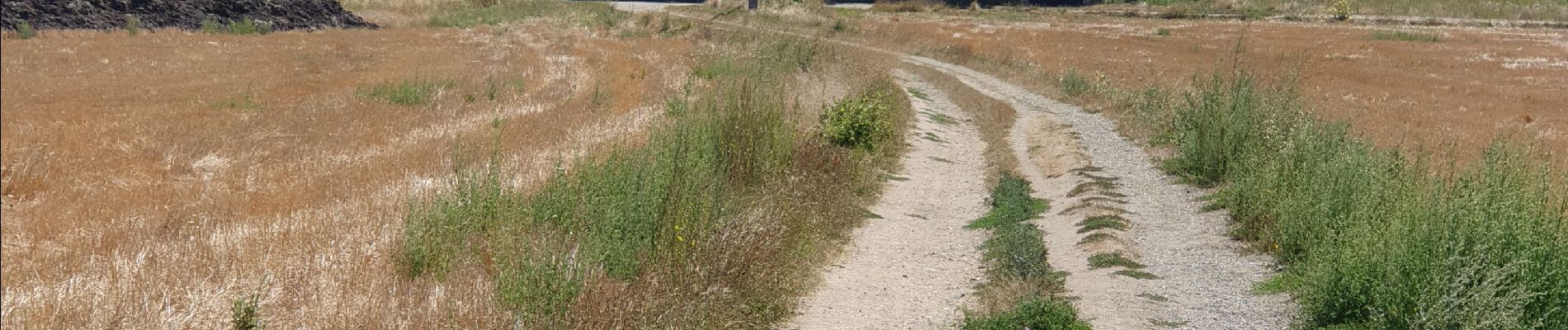 Randonnée Marche Égly - Rumba à Egly  - Photo