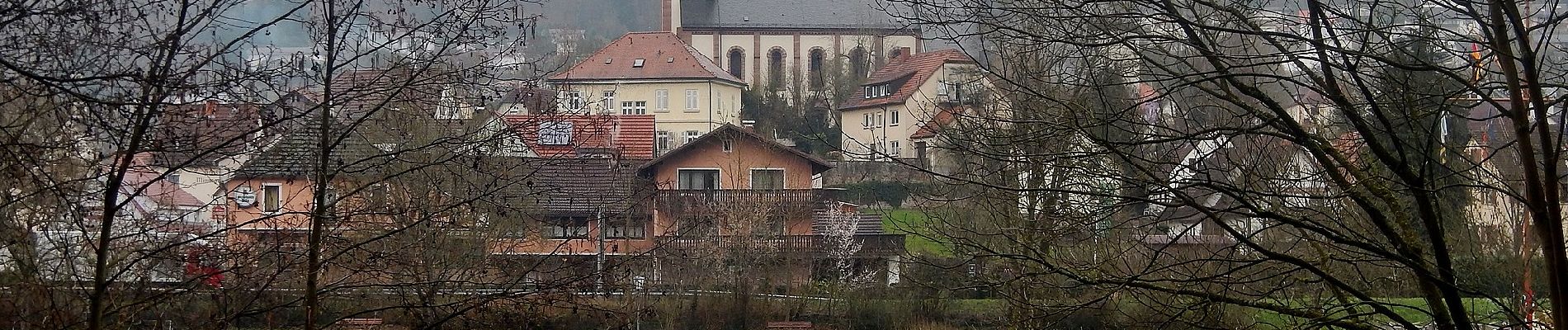 Tocht Te voet Neckargerach - Margarethenschlucht-Weg - Photo