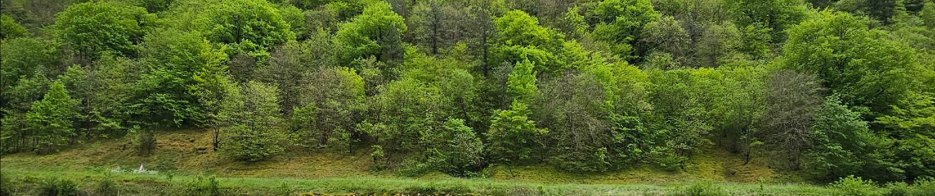 Trail Walking Baume-les-Messieurs - A la découverte de Baume-les-messieurs 🥾 - Photo