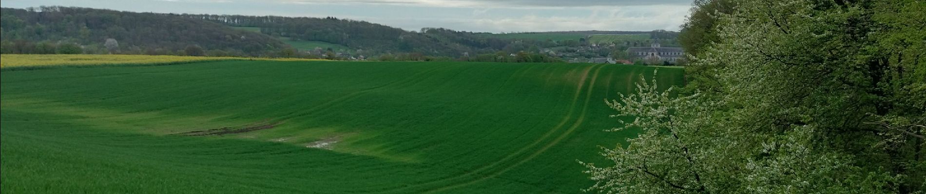 Trail Walking Floreffe - soye - Photo