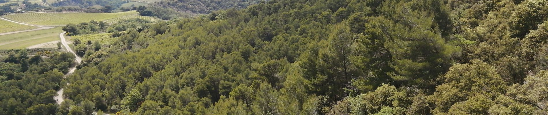 Trail Walking Piégon - petit sentier des géants par les cretes - Photo