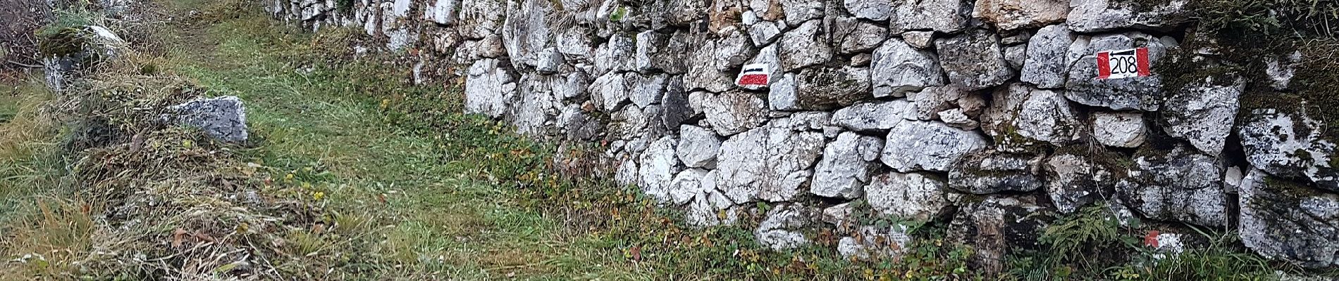 Tour Zu Fuß Crespadoro - Campodalbero e le sue Contra - Photo