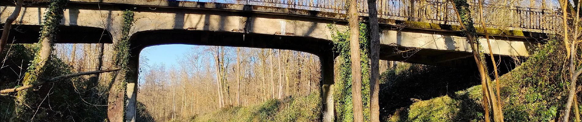 Excursión Senderismo Le Nouvion-en-Thiérache - Le Nouvion-en-Thiérache (Promenade verte) (RTC) - Photo