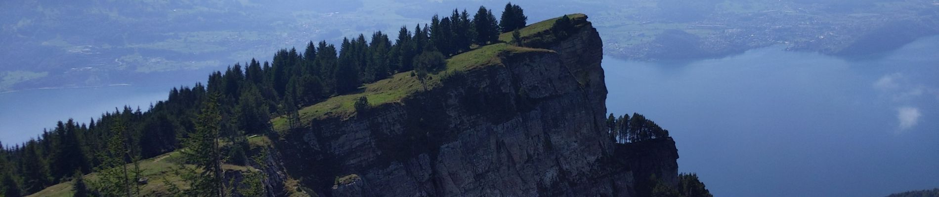 Tocht Stappen Beatenberg - Niederhorn - Photo