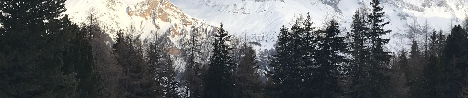 Tour Skiwanderen La Plagne-Tarentaise - Myrtilles  - Photo