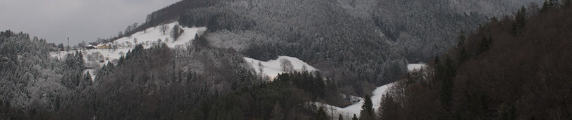 Randonnée A pied Gemeinde Kleinzell - Laufend geniessen (Kurhotel Salzerbad) - Photo