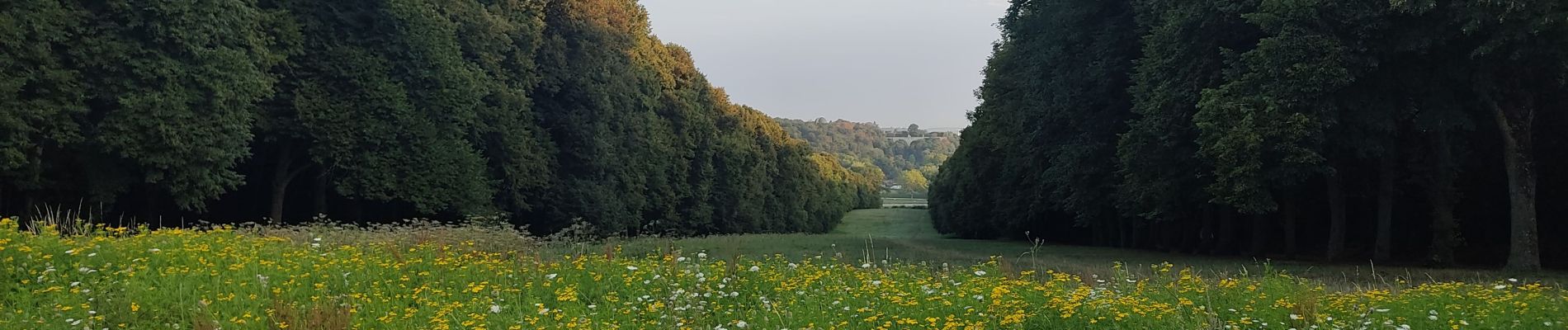 Trail Walking Clamart - bossapas Meudon - Photo