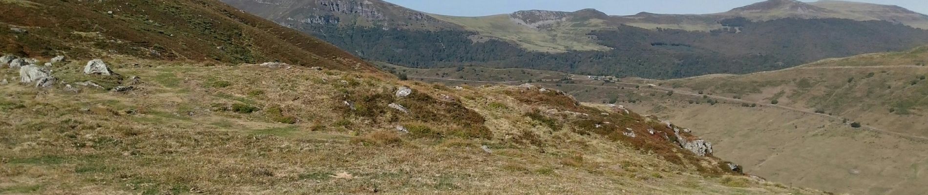 Excursión Senderismo Lavigerie - Tour du Peyre Arse par le Puy Bataillouse et le Téton de Vénus - Photo