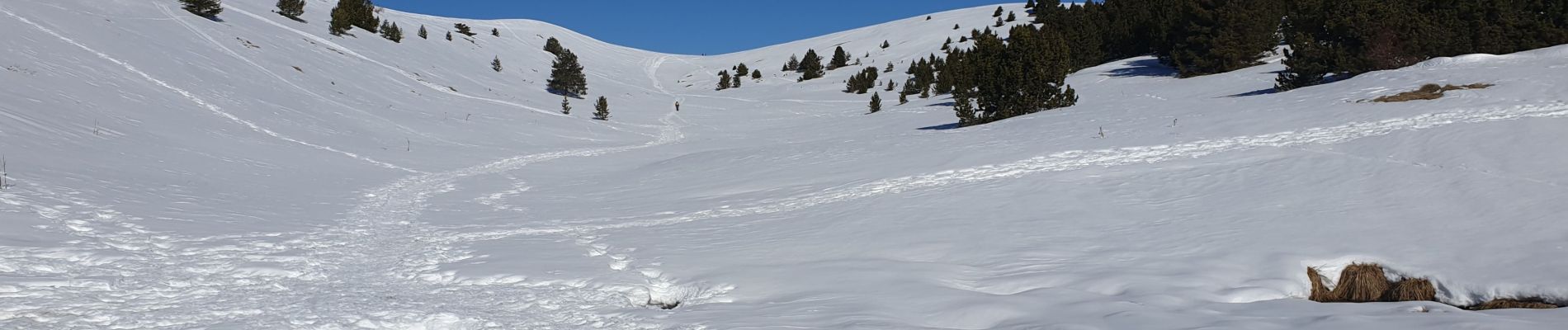 Trail Touring skiing Manteyer - Tour de Ceuse - Photo