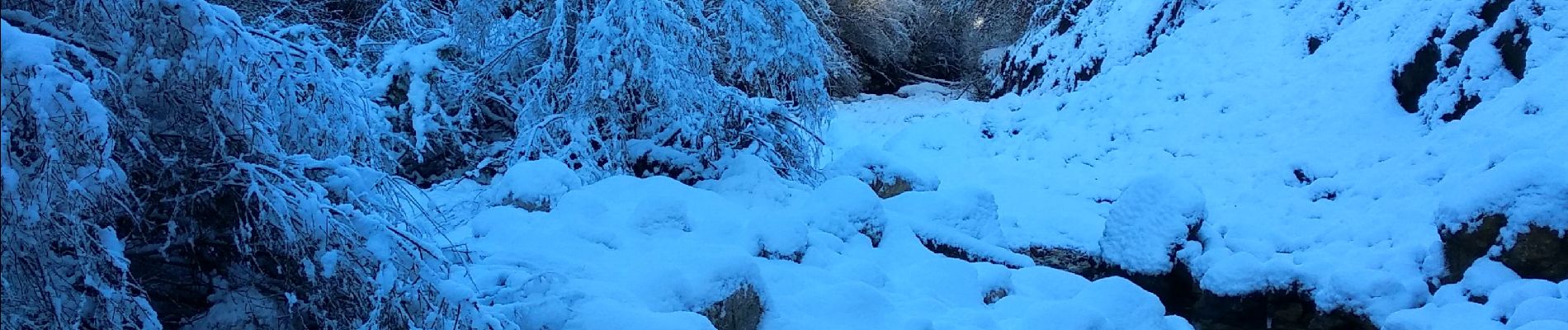 Tocht Sneeuwschoenen Andon - Descente vers le Loup en raquettes - Photo