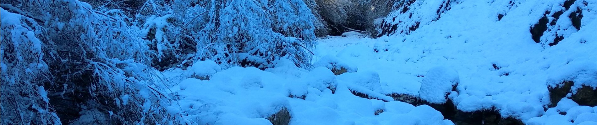 Tour Schneeschuhwandern Andon - Descente vers le Loup en raquettes - Photo