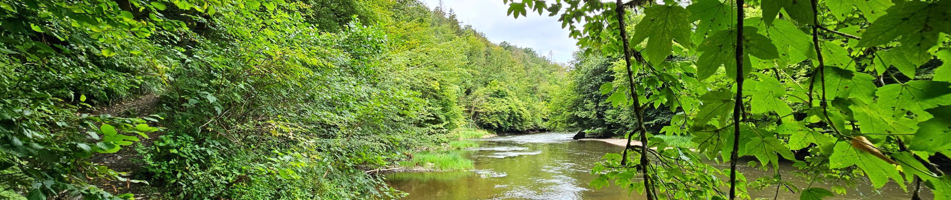 Trail Walking Florenville - Le Point de vue la Bohanan - Chassepierre - Photo