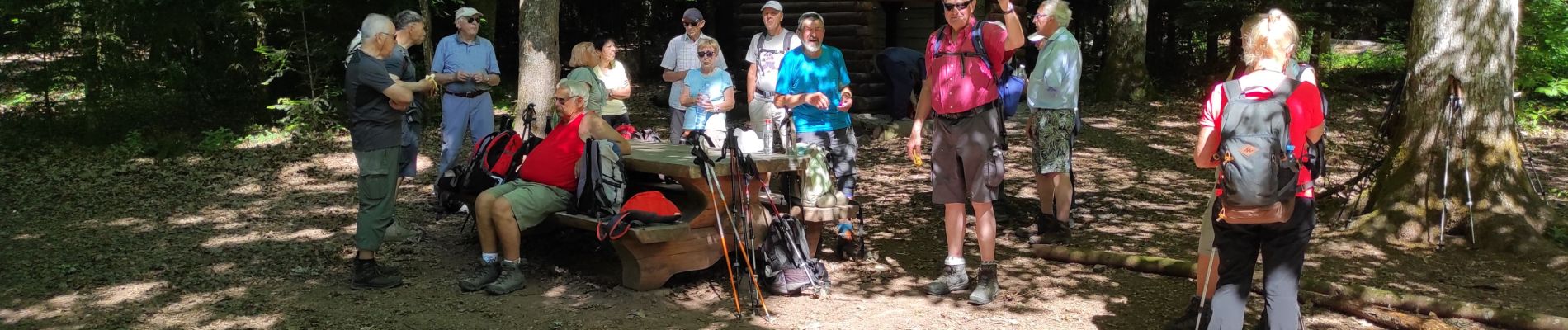 Tour Wandern Gebweiler - Guebwiller Croix Zimmermann  - Photo