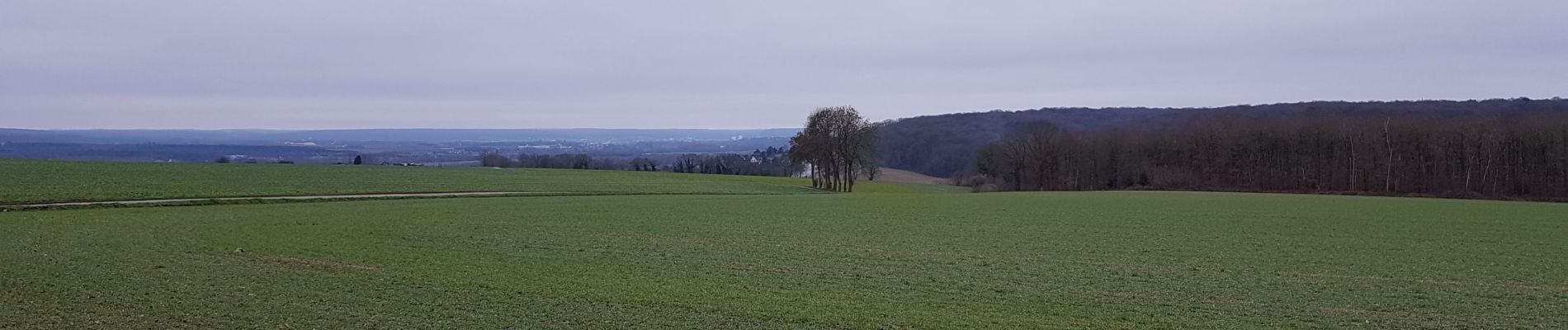 Trail Walking Les Authieux-sur-le-Port-Saint-Ouen - 20190105 les Authieux  - Photo