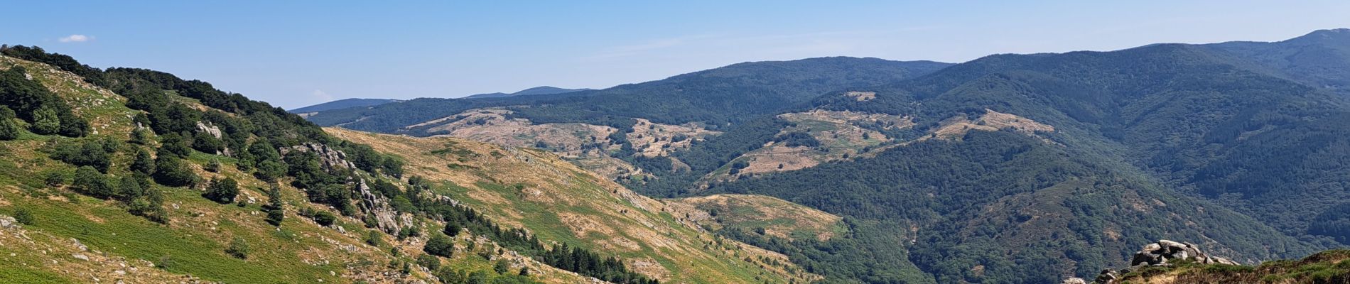 Tour Wandern Dourbies - Dourbies à Camprieu en boucle  - Photo