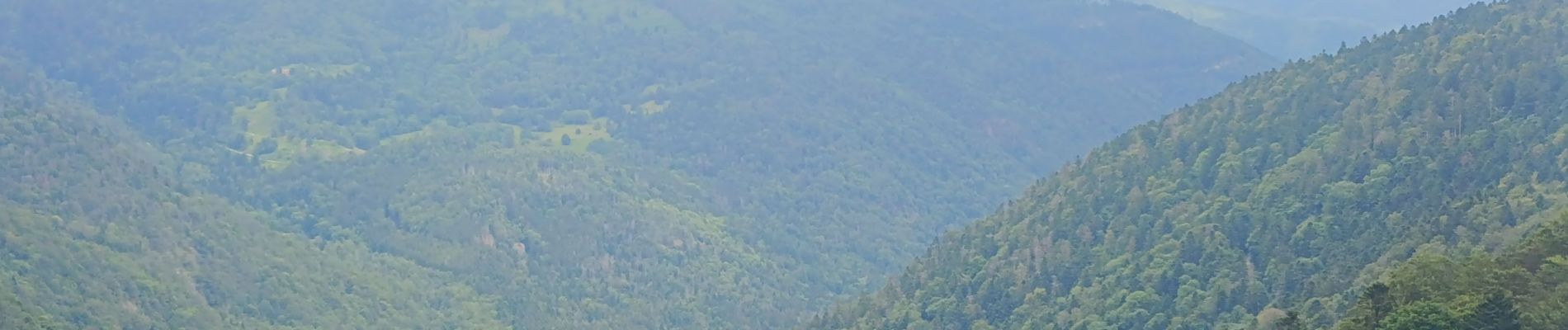 Tocht Stappen Sewen - Circuit lac d'alfeld / ballon d'Alsace  - Photo