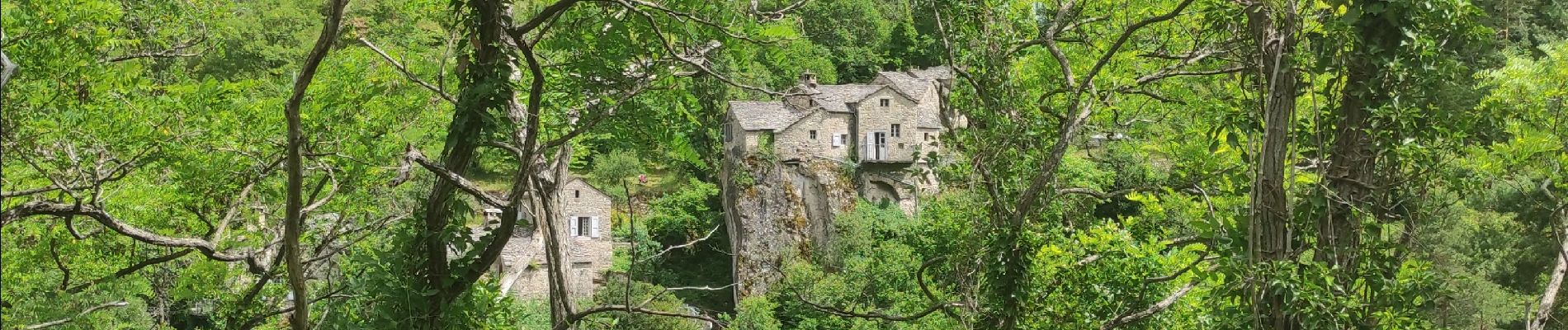 Randonnée Vélo électrique Meyrueis - Meyrueis - Méjean - Tarn - Jonte - Meyrueis - Photo