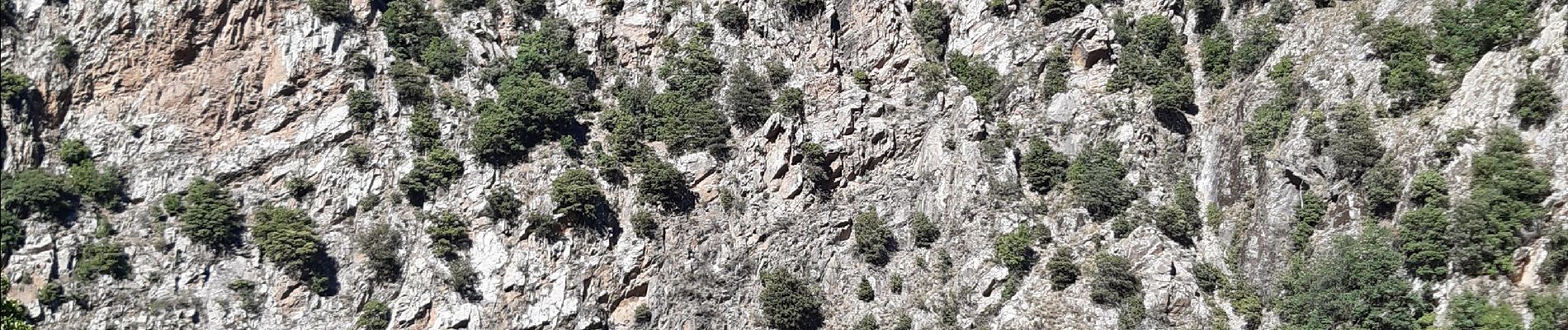 Tocht Stappen Thuès-Entre-Valls - gorge de la Carança  - Photo