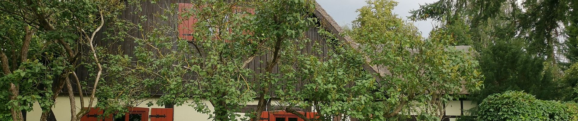 Tocht Te voet Krausnick-Groß Wasserburg - Wanderweg Krausnik-Groß Wasserburg-Köthen (grüner Balken) - Photo