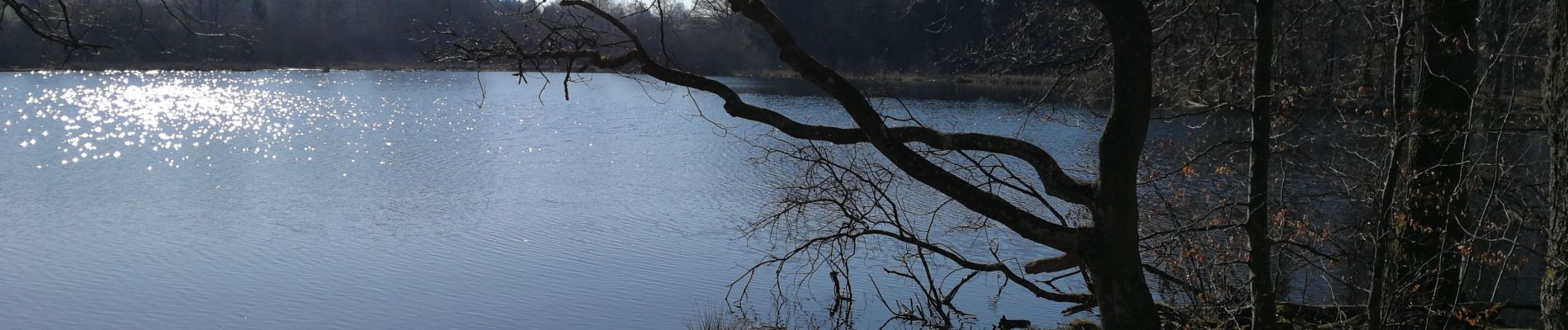 Tocht Noords wandelen Bastenaken - hemroulle - Photo