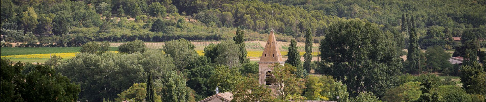 Tour Wandern Espeluche - Espeluche.  Le Bois Jamot 8km - Photo