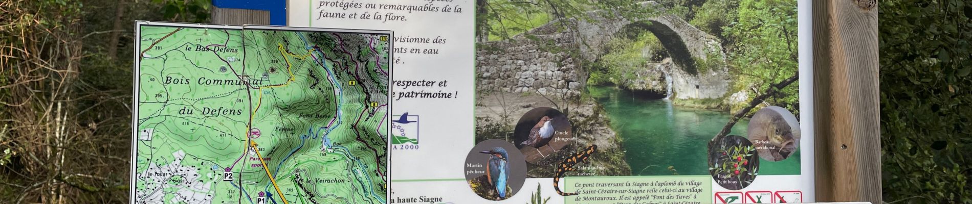 Tour Wandern Montauroux - Gorges de la Siagne - Photo