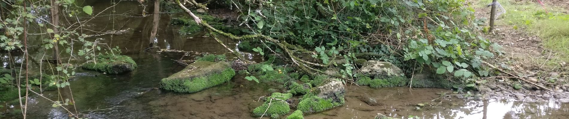 Tour Wandern Aigondigné - 2019-09-09 Vers Aigonnay - Photo