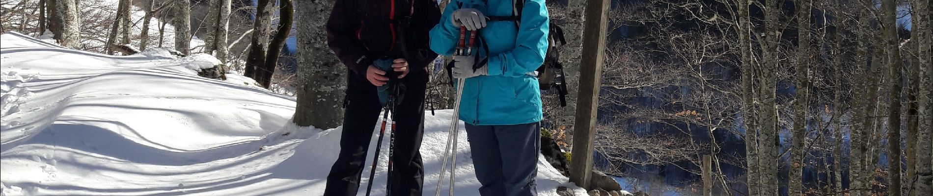 Tocht Stappen Château-Bernard - la soldanelle - Photo