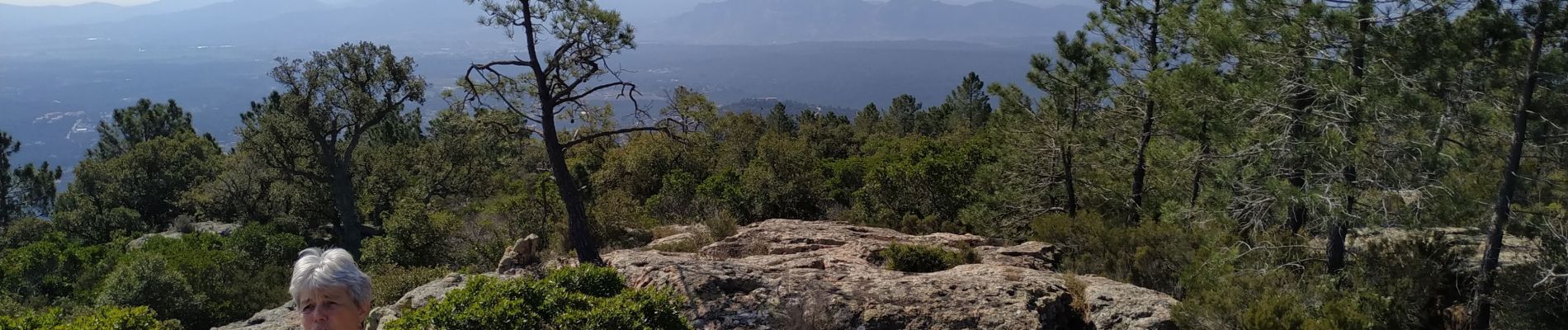 Tour Wandern Bagnols-en-Forêt - le caste diaou - Photo