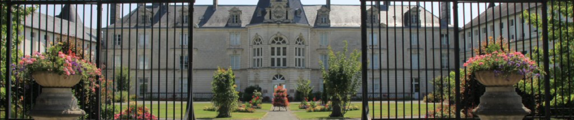Tocht Stappen Antonne-et-Trigonant - Boucle Des Châteaux - Photo