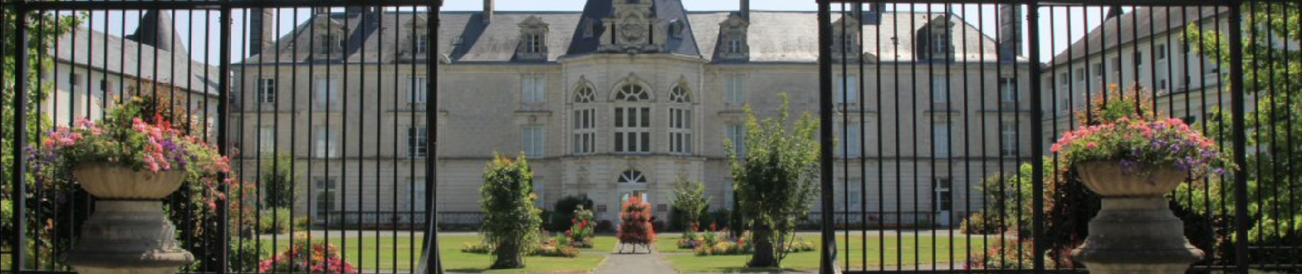 Tour Wandern Antonne-et-Trigonant - Boucle Des Châteaux - Photo