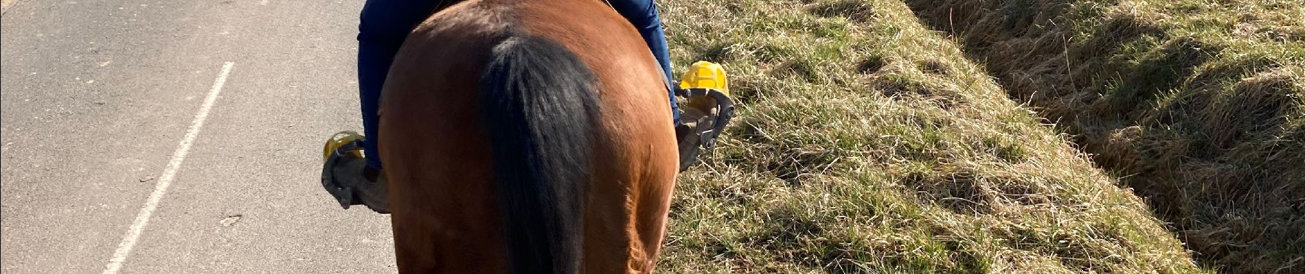 Tour Reiten Neuviller-lès-Badonviller - Belliana kiki  - Photo