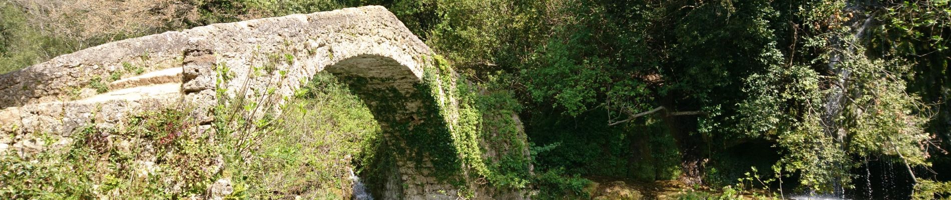 Percorso Marcia Saint-Cézaire-sur-Siagne - Gorges de la Siagne - Photo