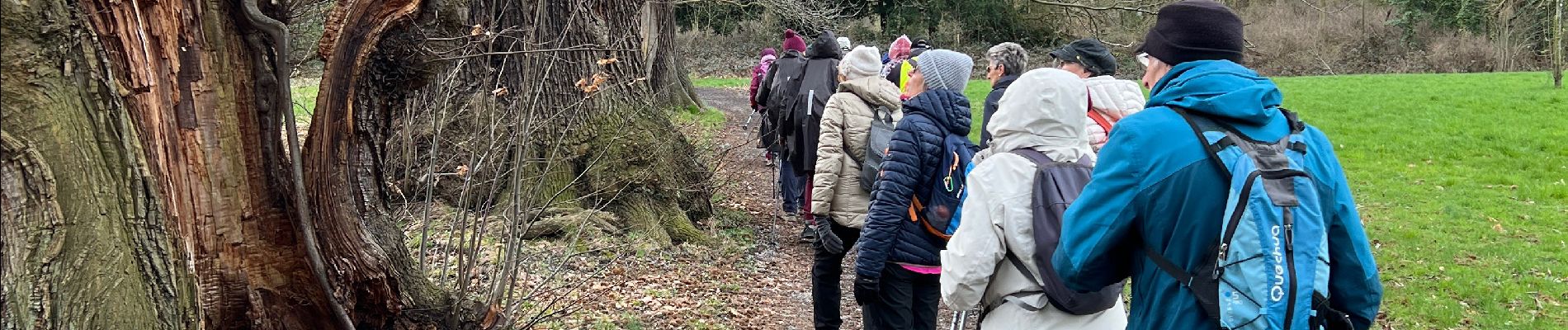 Tocht Stappen Flémalle - Flemalle - Photo